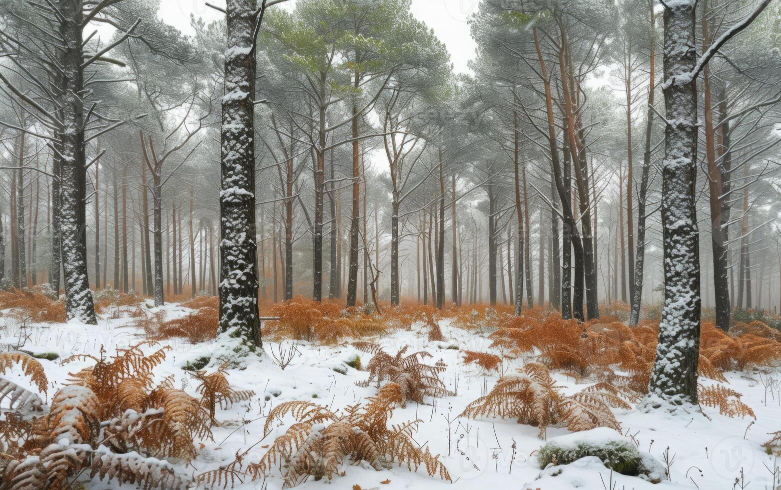 AI generated Winter Wonderland in the Pine Forest photo