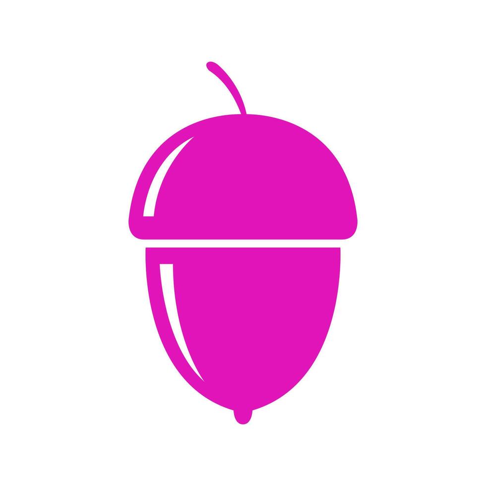 Acorn illustrated on white background vector