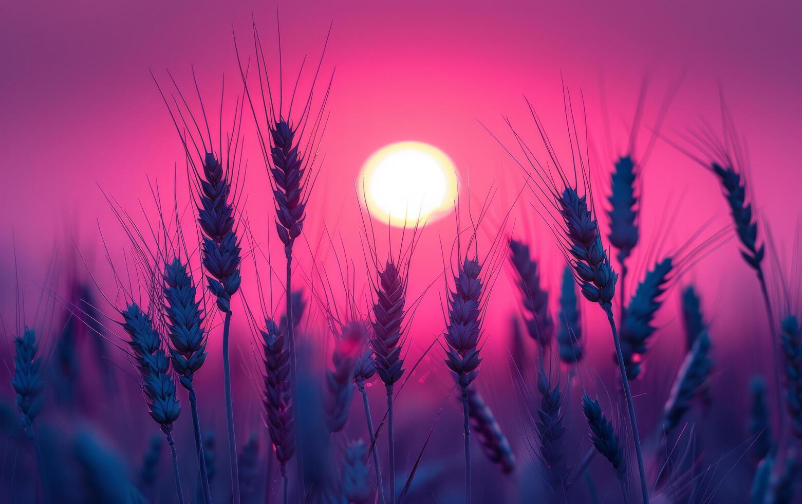 AI generated Wheat Field Sunset Silhouette photo