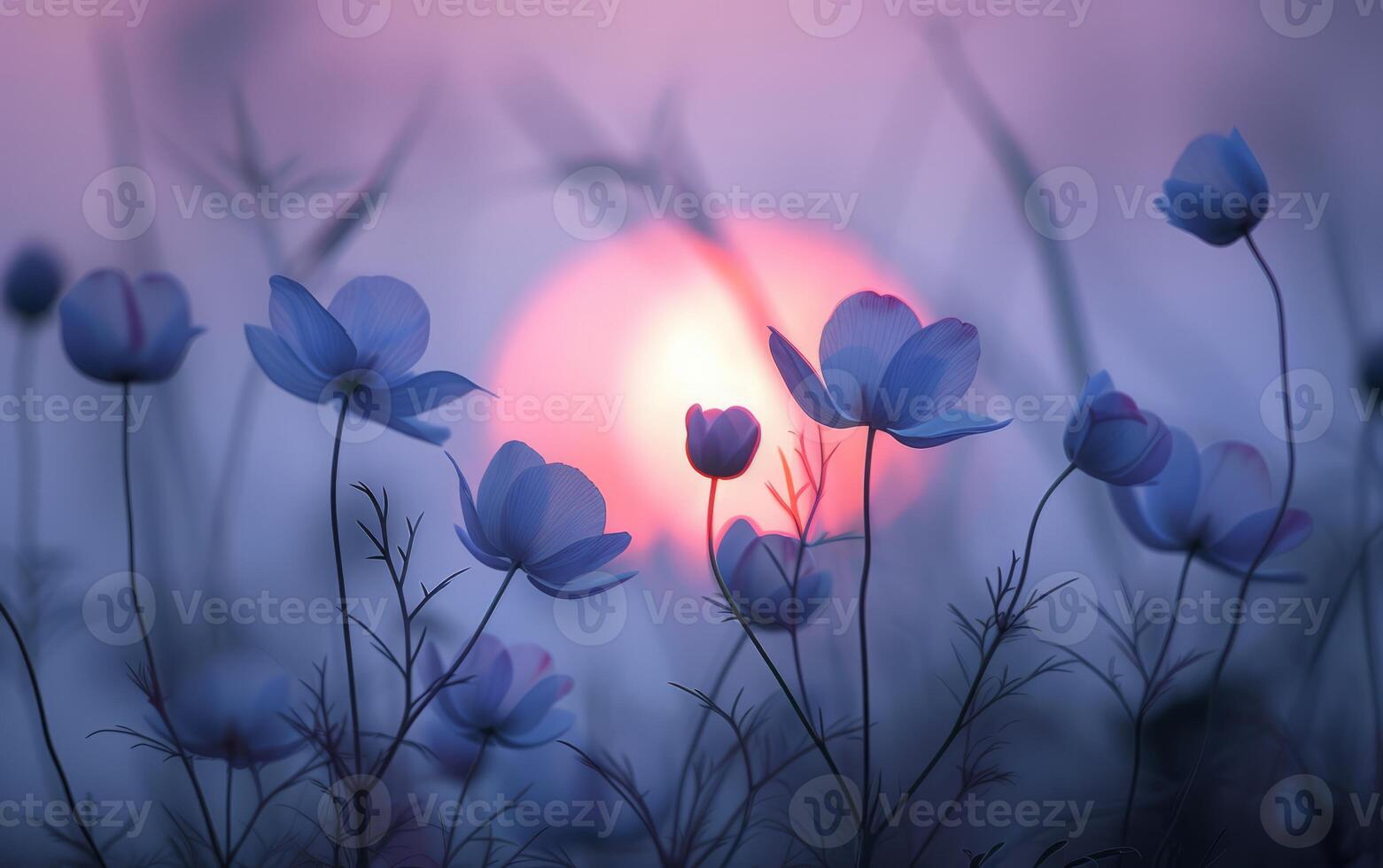 AI generated Silhouetted wildflowers bask in the rosy glow of a setting sun photo