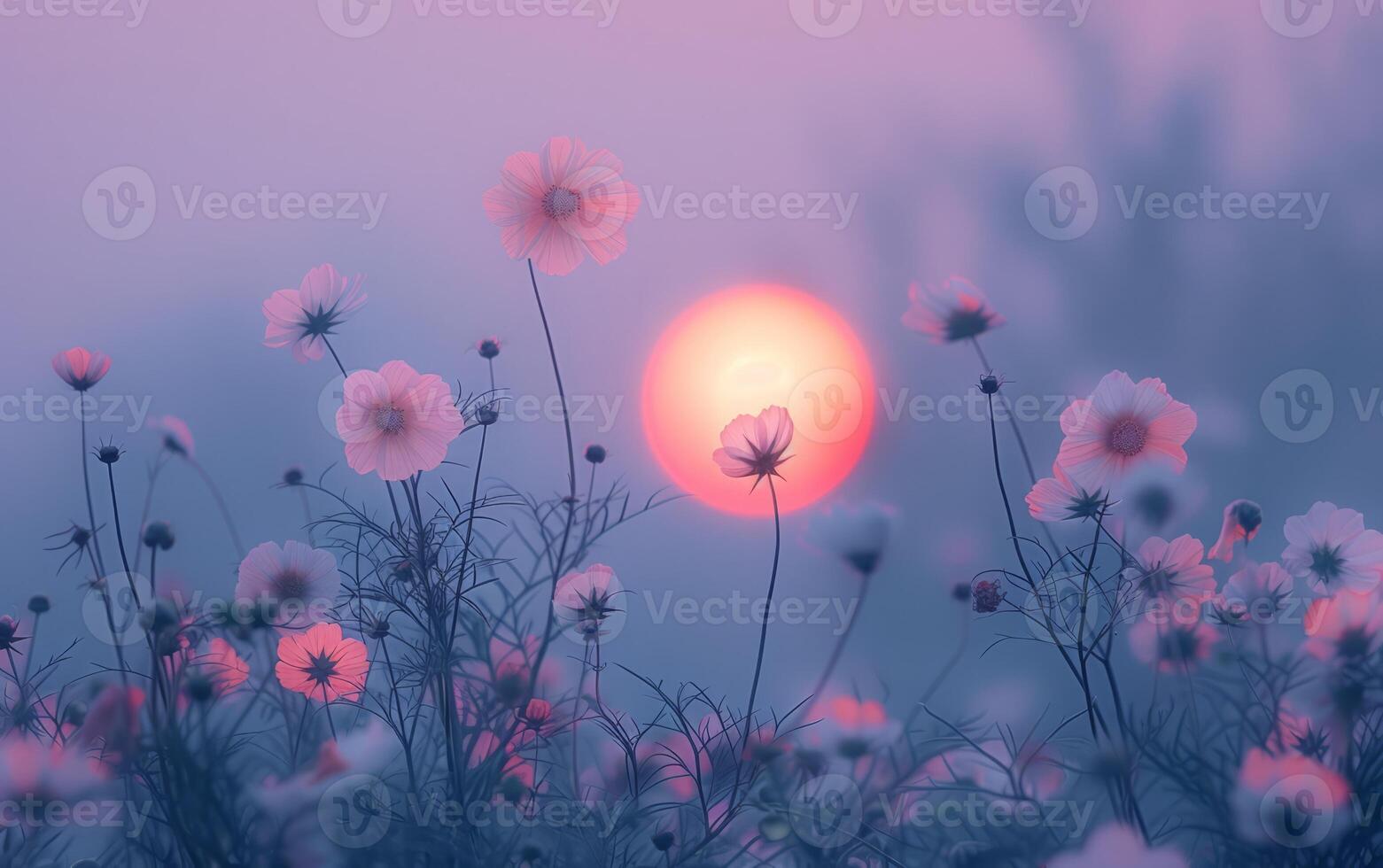 AI generated Silhouetted wildflowers bask in the rosy glow of a setting sun photo