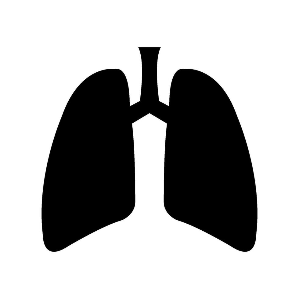 Lungs Illustrated on white background vector