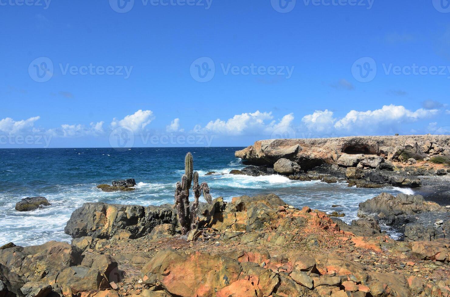 Lavarock and Cliffs Along the Coast of Aruba photo