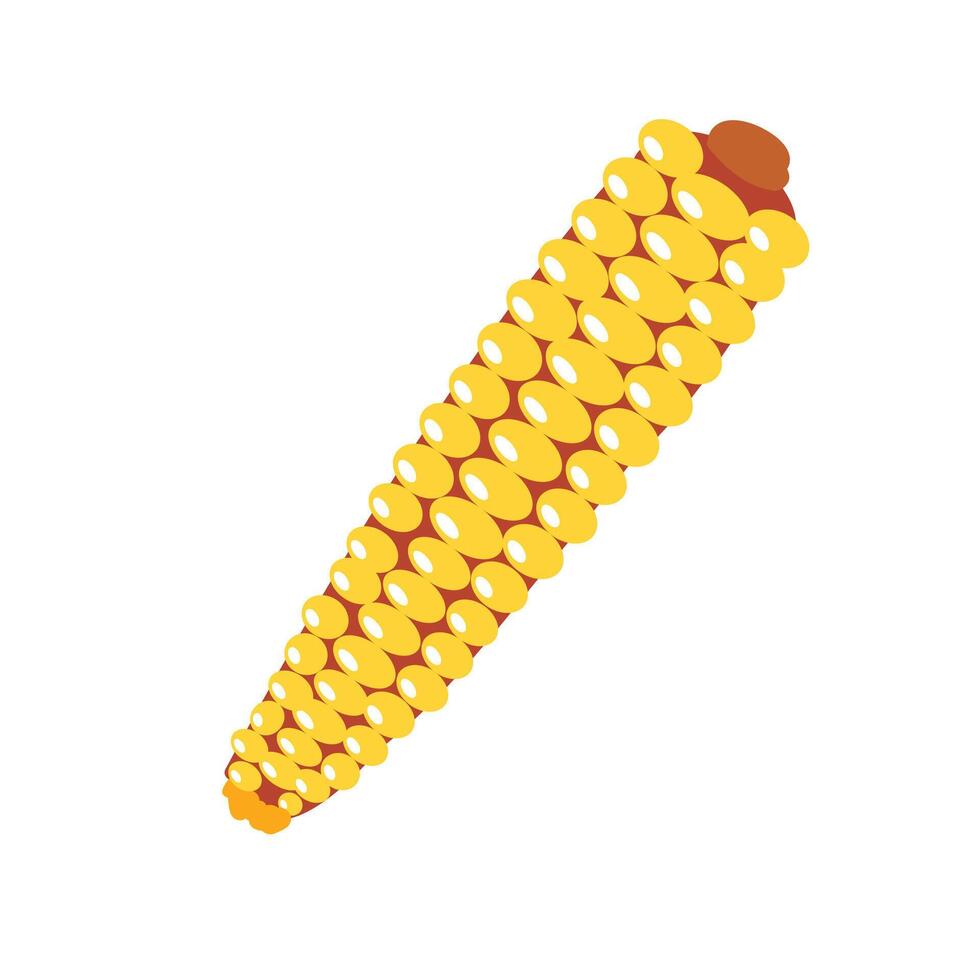 Vector concept farm village field garden vegetable corn this illustration features