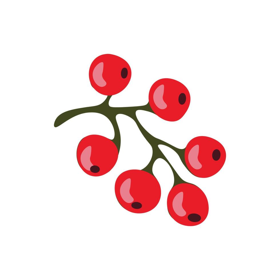 Vector red currant flat style vector illustration fresh berry on white background