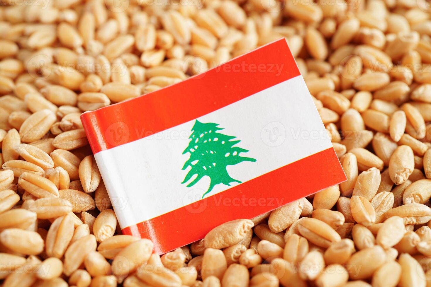 Lebanon flag on grain wheat, trade export and economy concept. photo