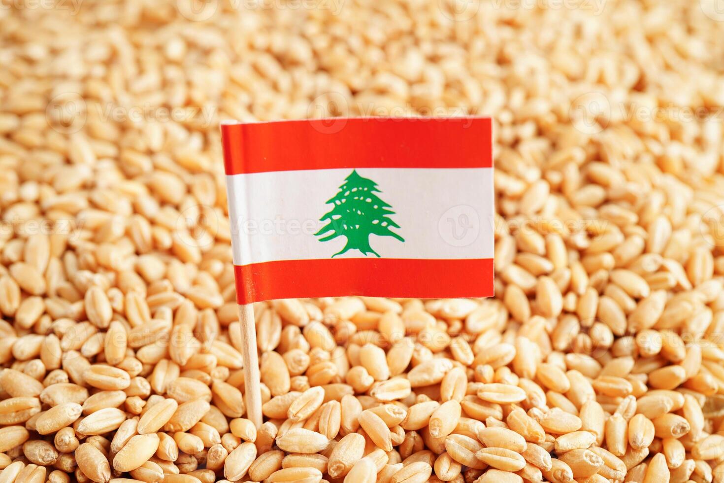Lebanon flag on grain wheat, trade export and economy concept. photo
