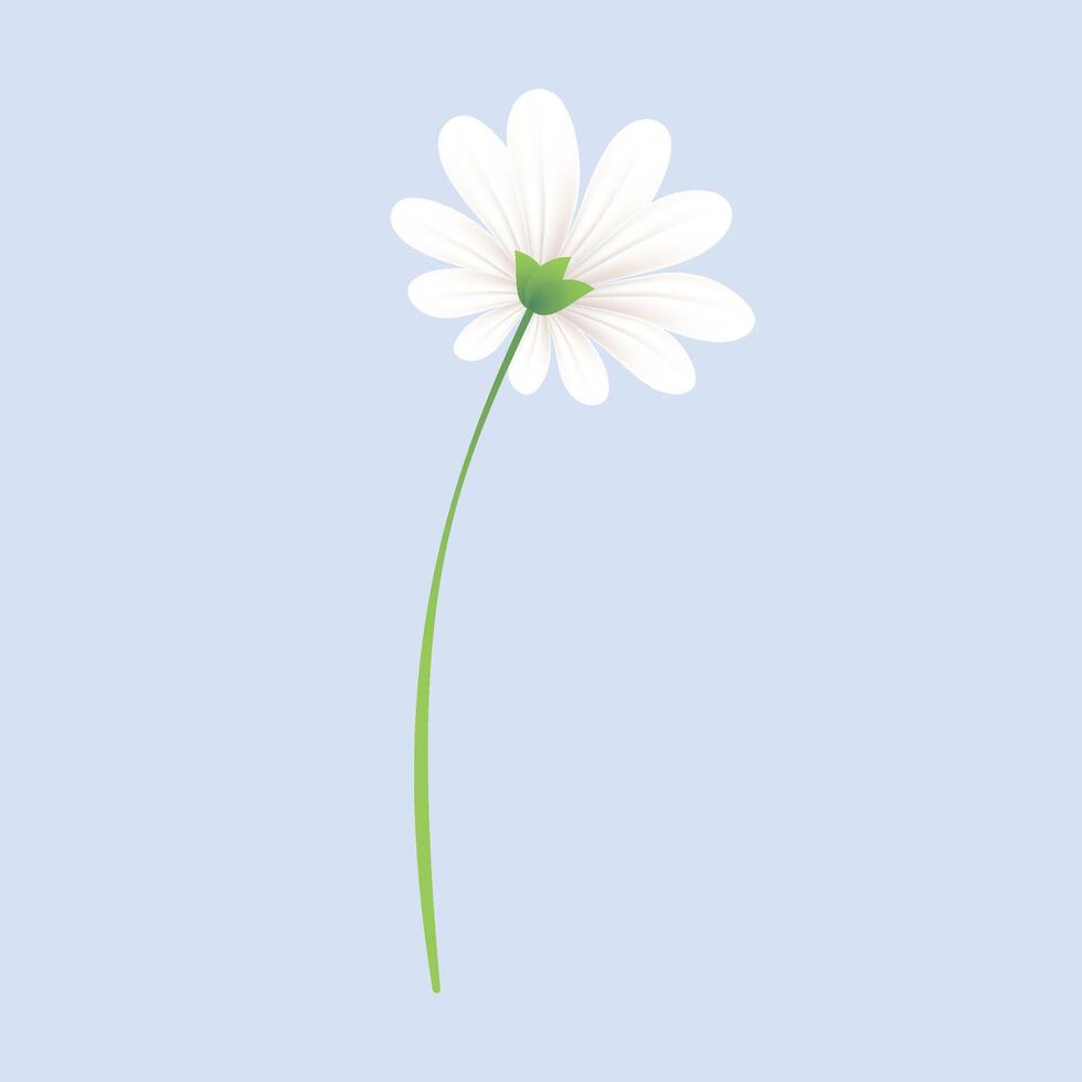 vector realistic detailed spring flower on blue background
