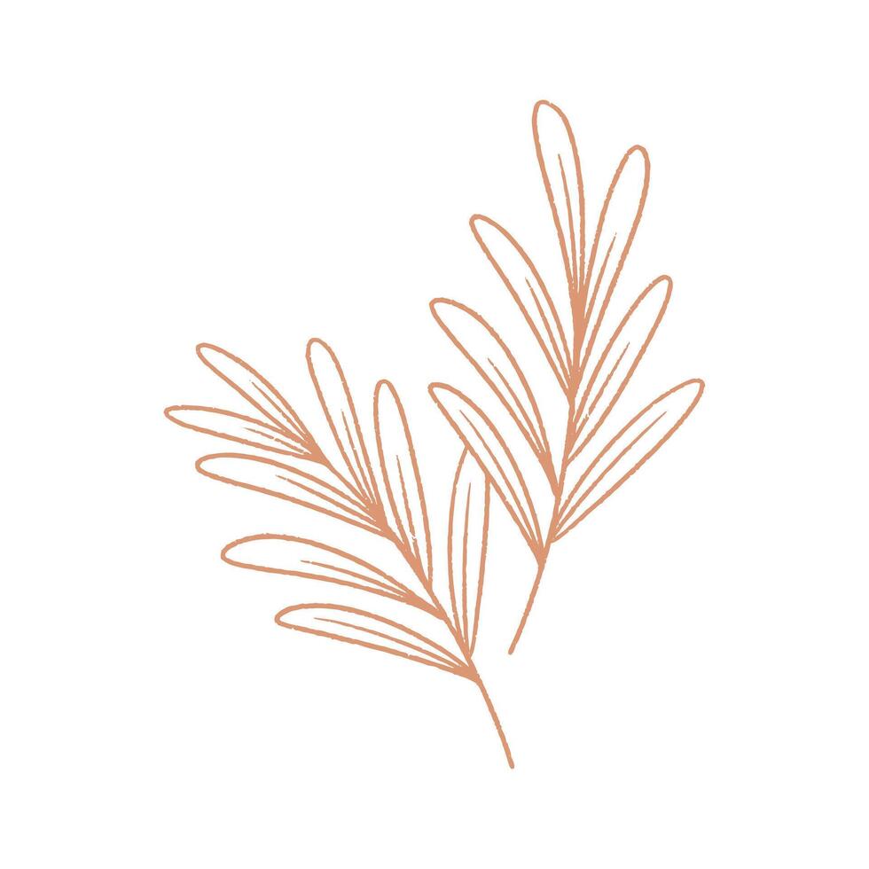 vector illustration of plant on white background