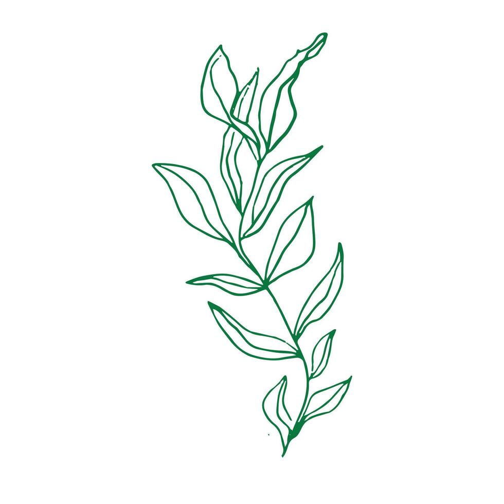 vector hand drawn simple flower outline