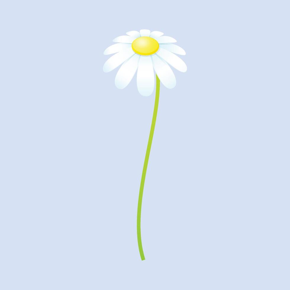 vector realistic detailed spring flower on blue background