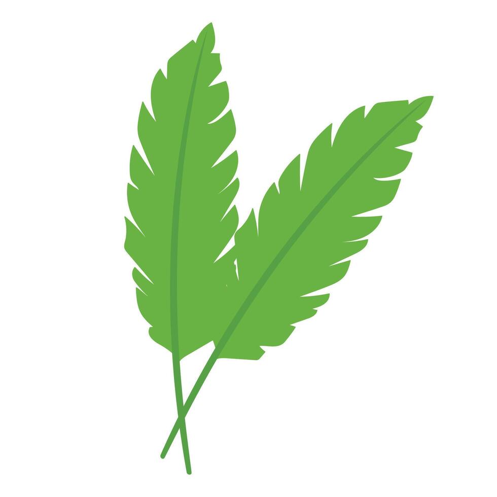 Vector green leaf illustration eco nature symbol