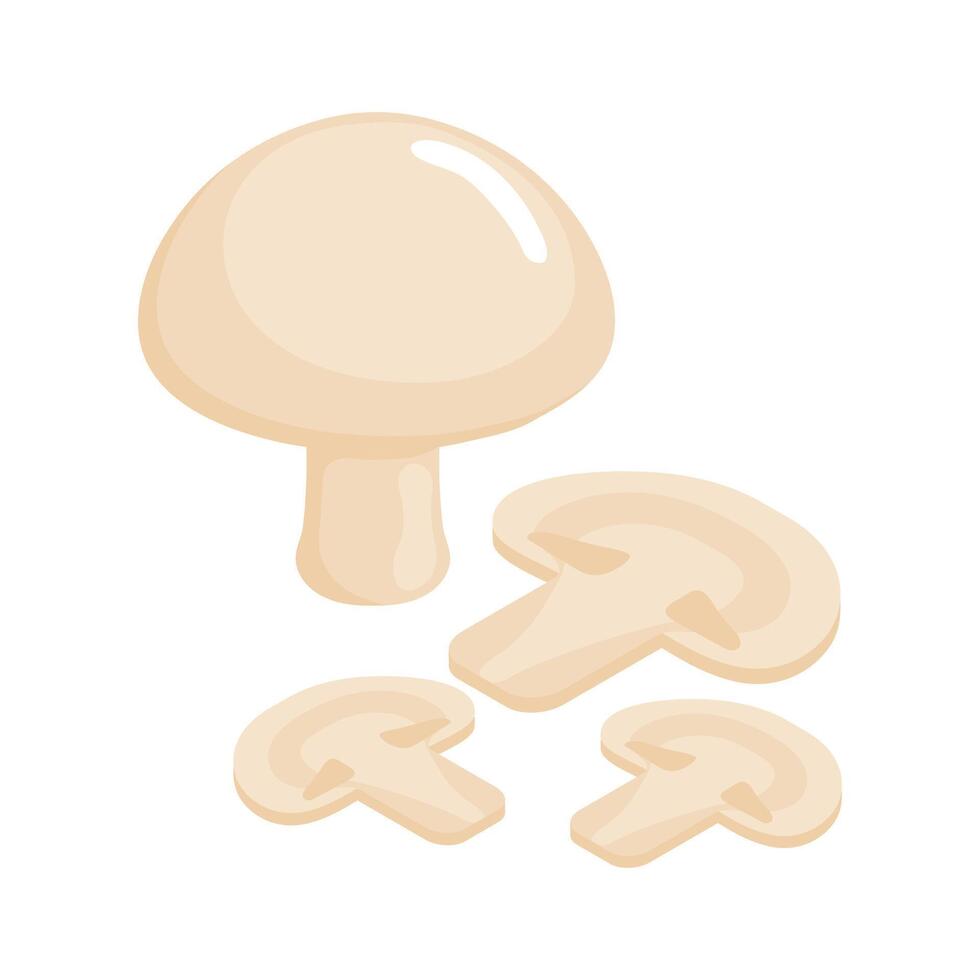 vector cartoon illustration of mushrooms