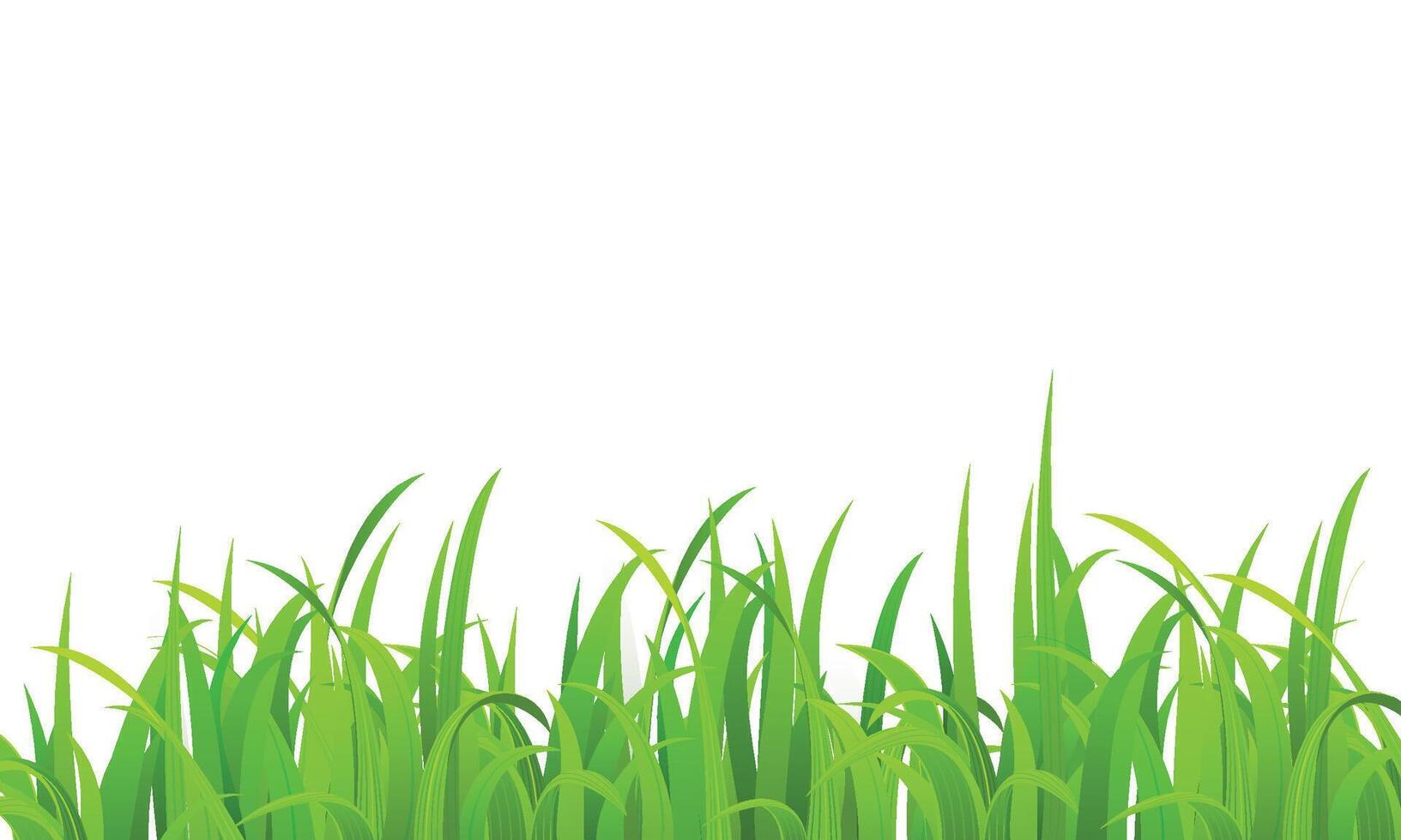 vector realistic grass illustration background