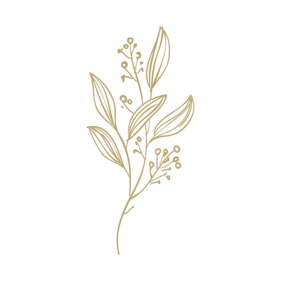 vector hand drawn simple flower outline