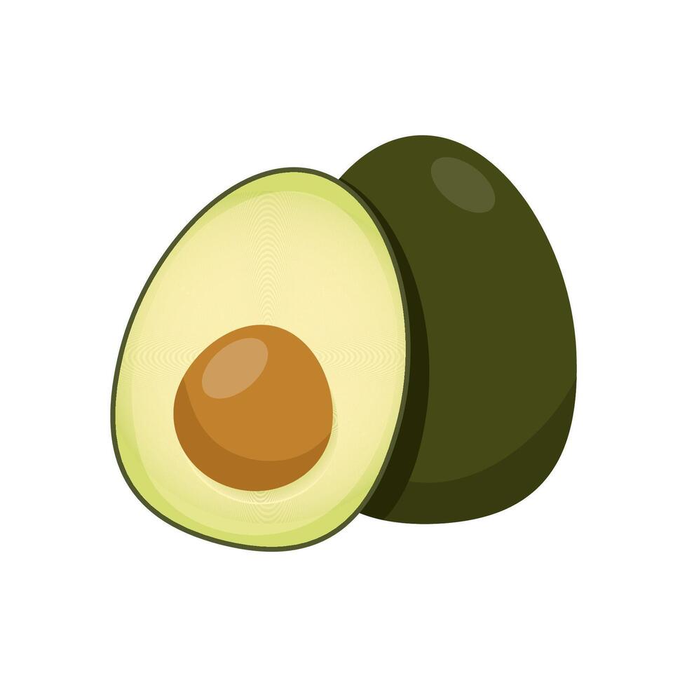 Composition of ripe cut avocado and whole vector