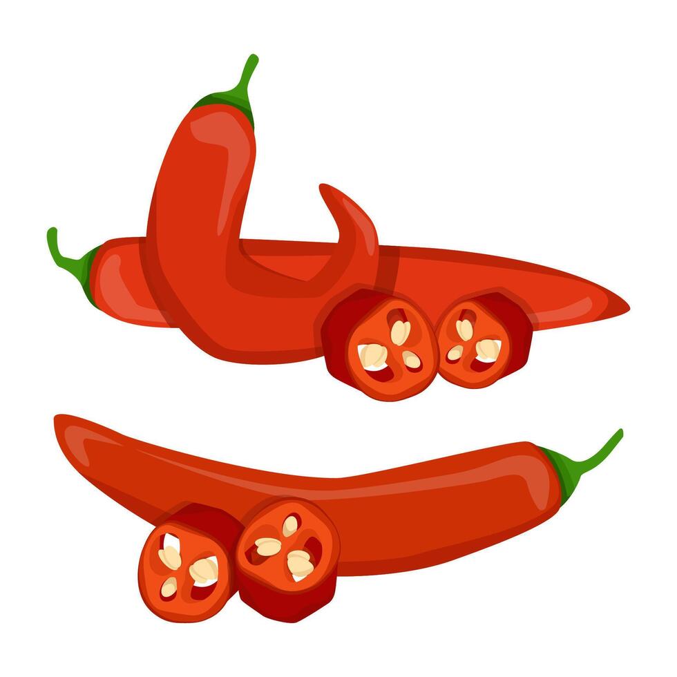 Composition of Mexican hot red chili peppers vector