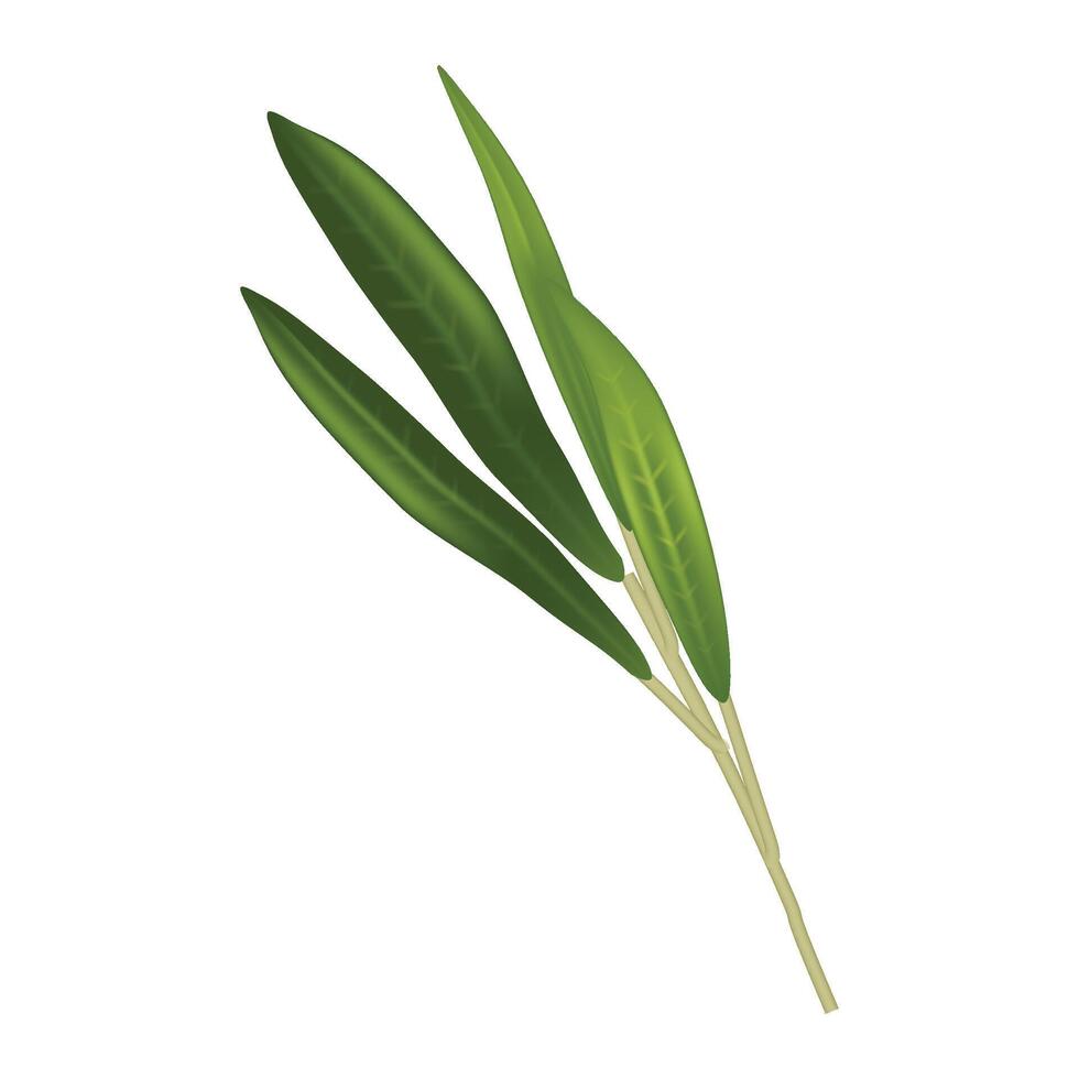 Vector close-up of plant against on white background