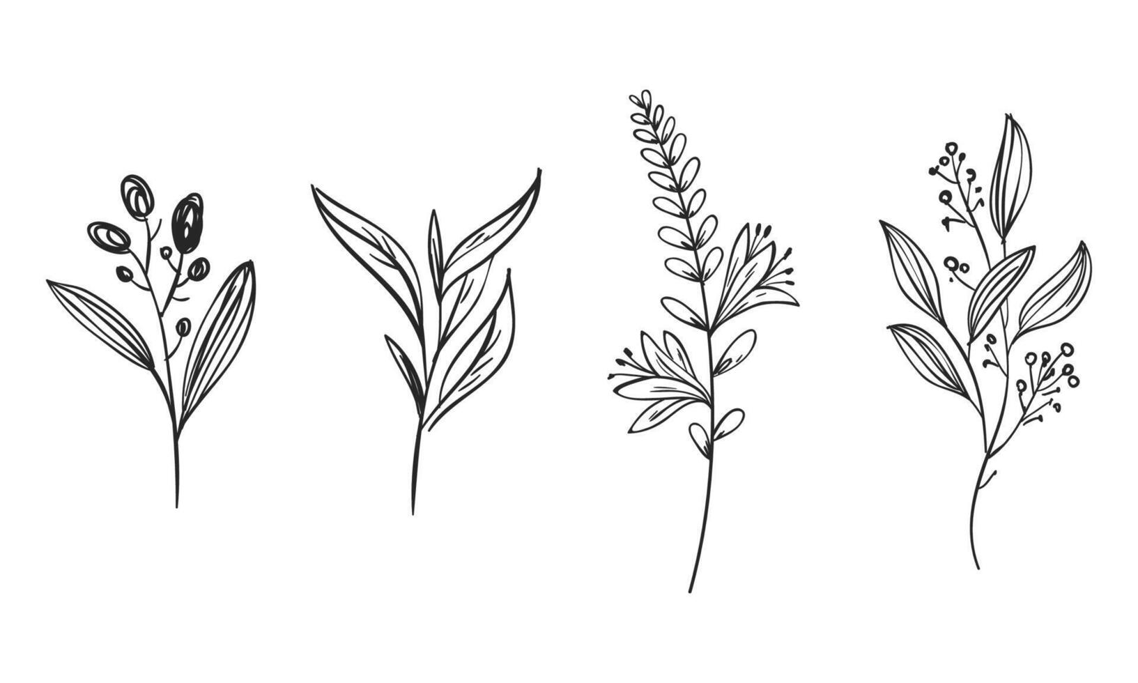 Vector hand-draw with herb and flowers collection