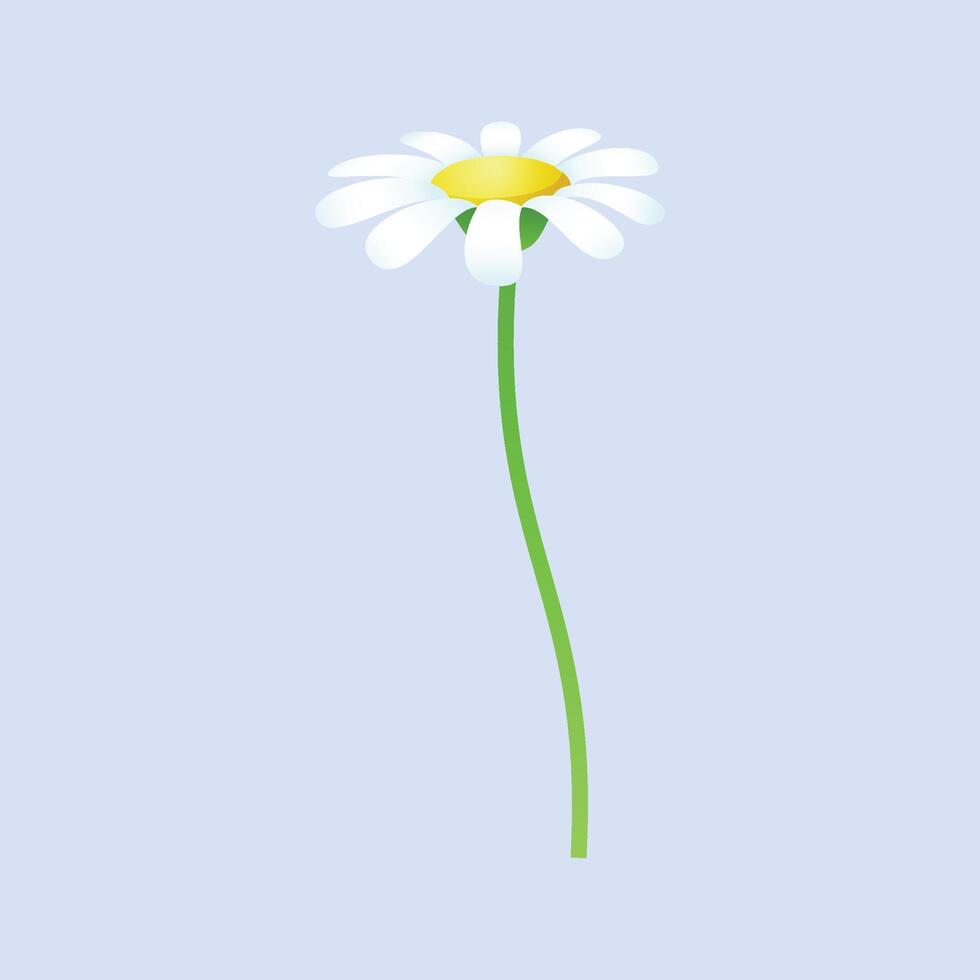 vector realistic detailed spring flower on blue background