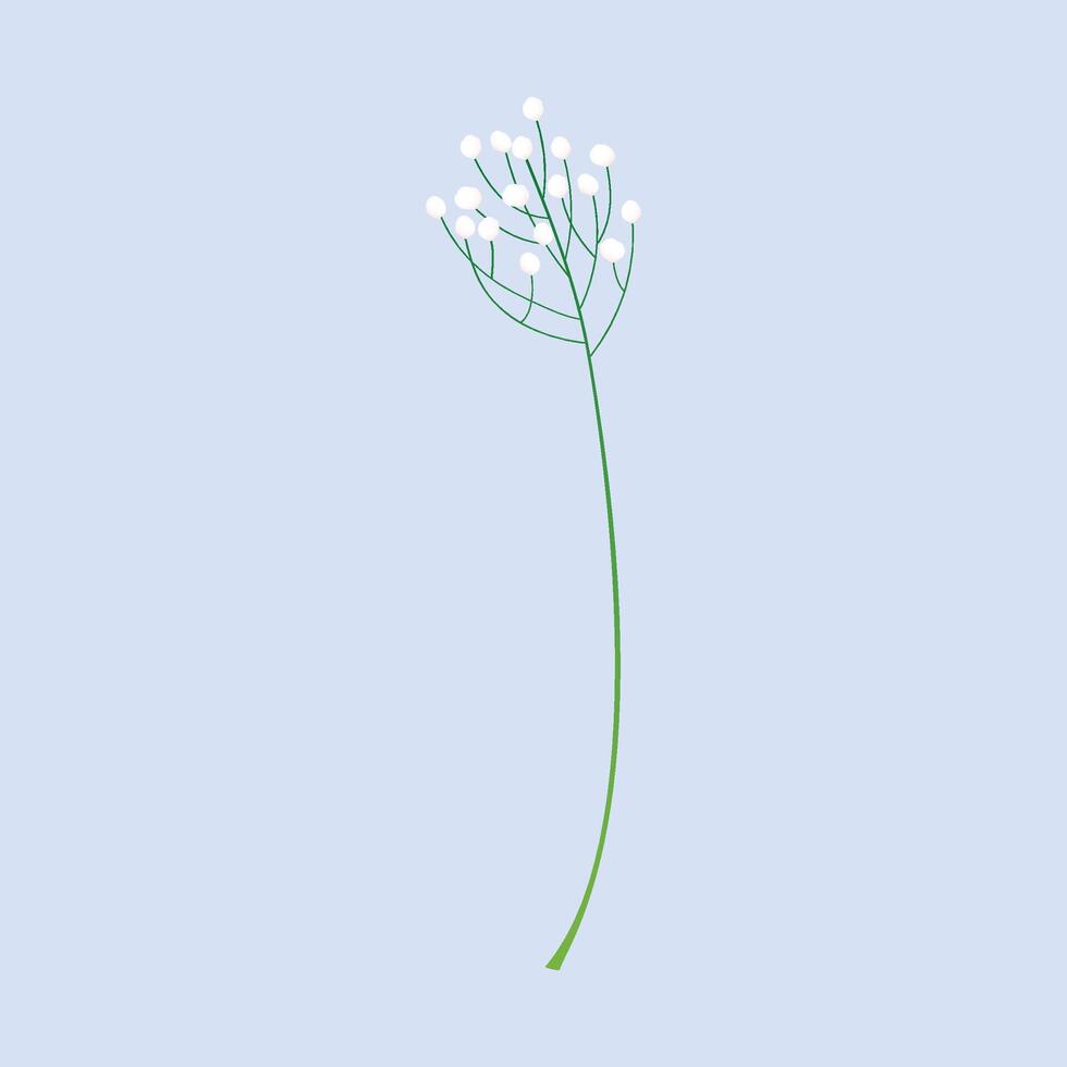 Vector blooming spring flowers on white background