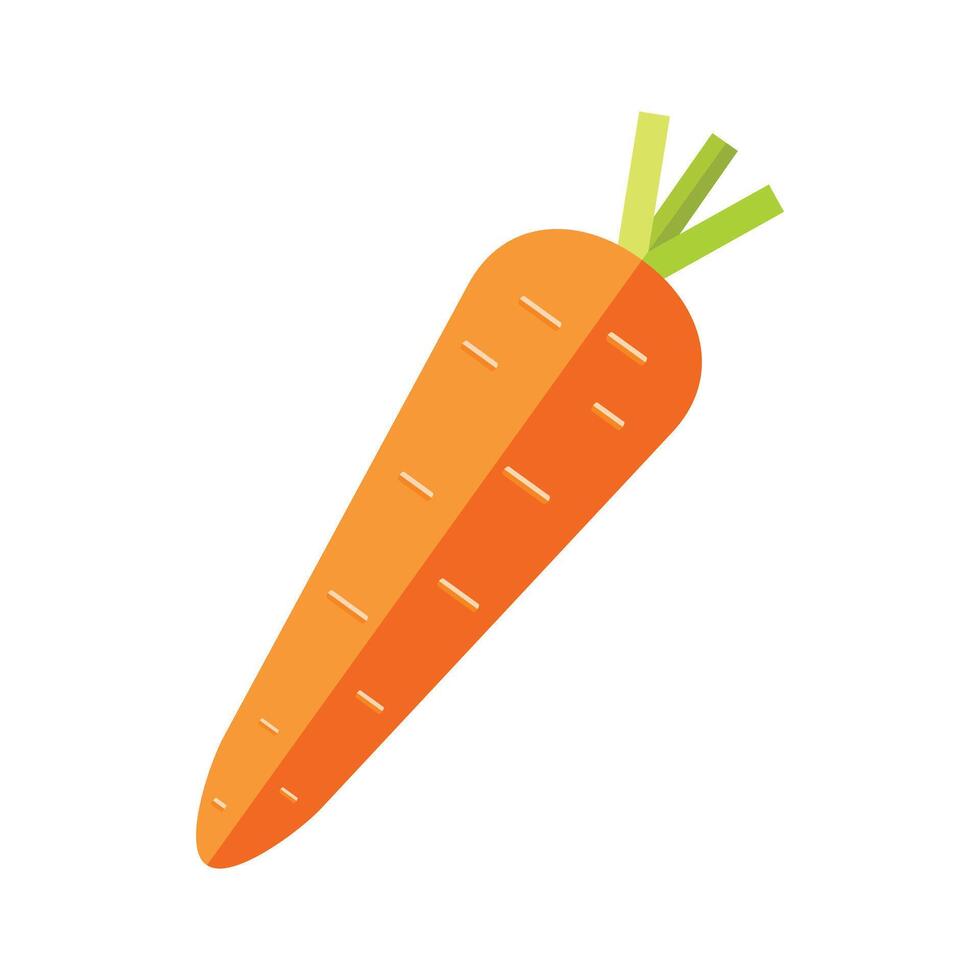 vector sano naranja zanahorias gráfico ilustración