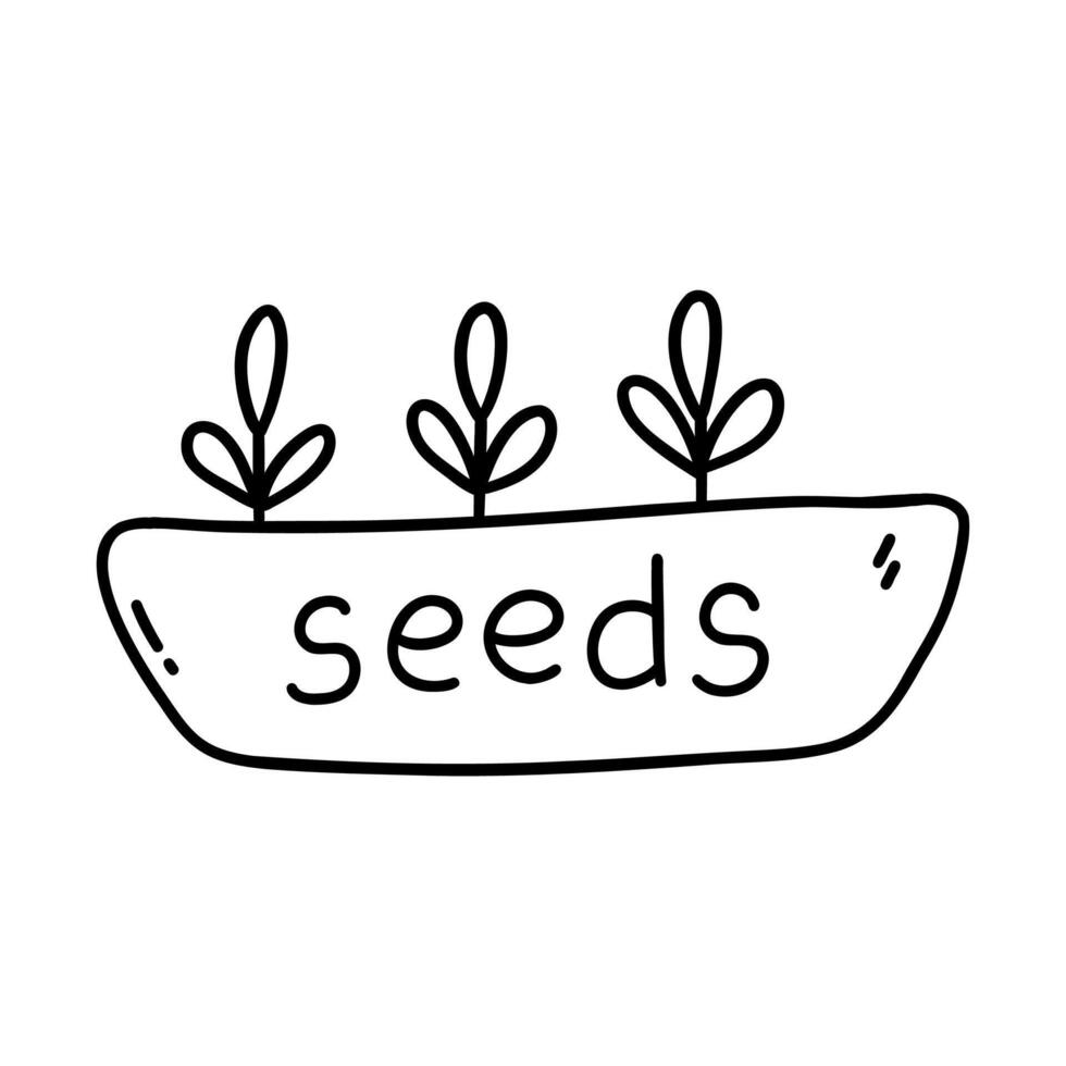 Seed sprouts in a pot. Vector doodle black and white
