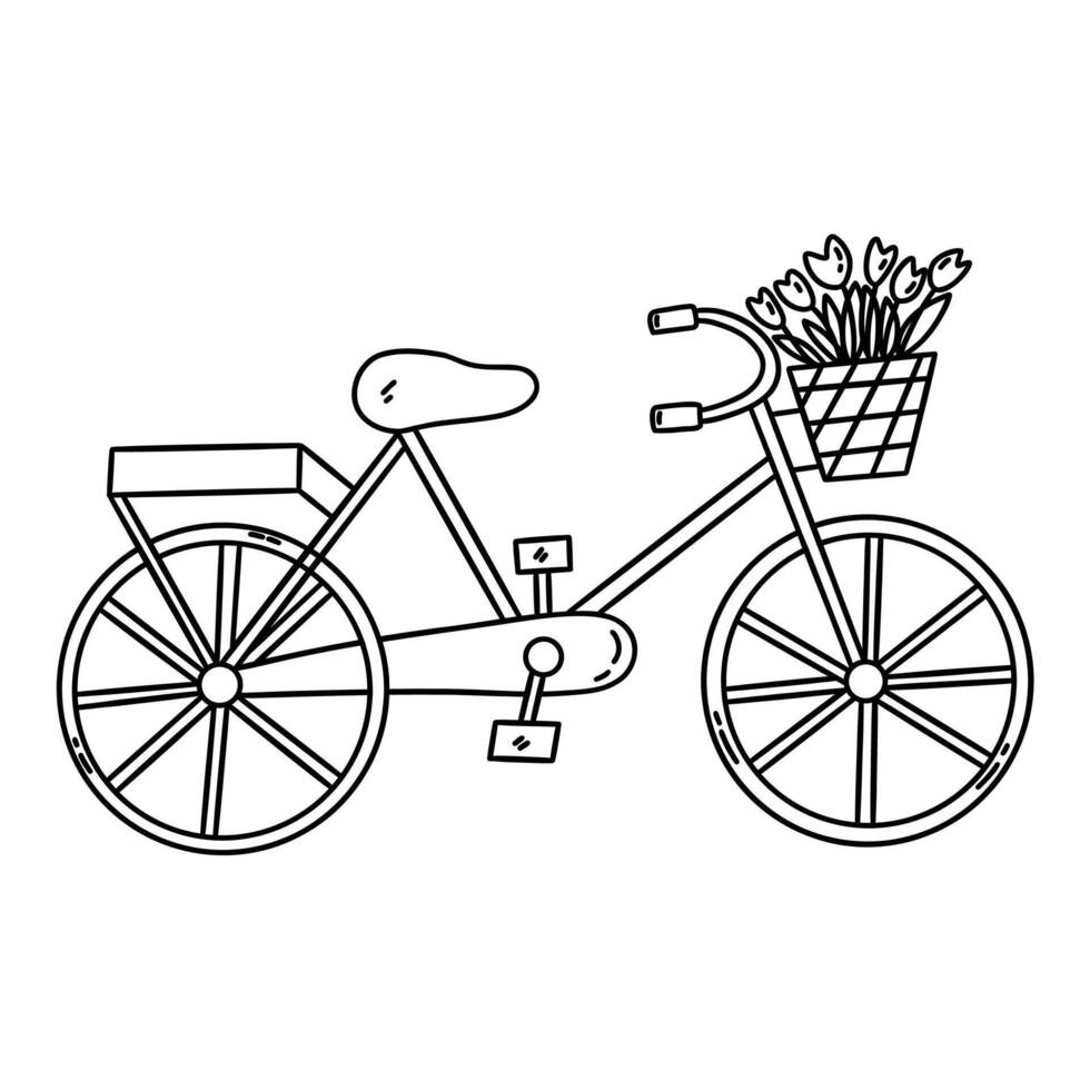 Bicycle with basket of tulips. Spring season. Vector doodle