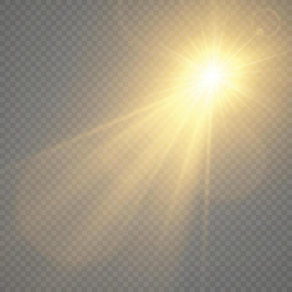 Vector golden light with glare. Sun, sun rays, dawn, glare from the sun png. Gold flare png, glare.