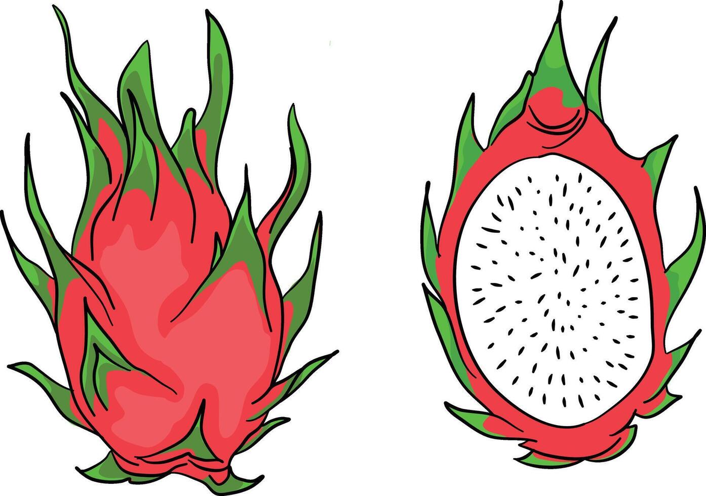 continuar fruta, todo Fruta y medio. tropical frutas vector ilustración aislado en blanco antecedentes