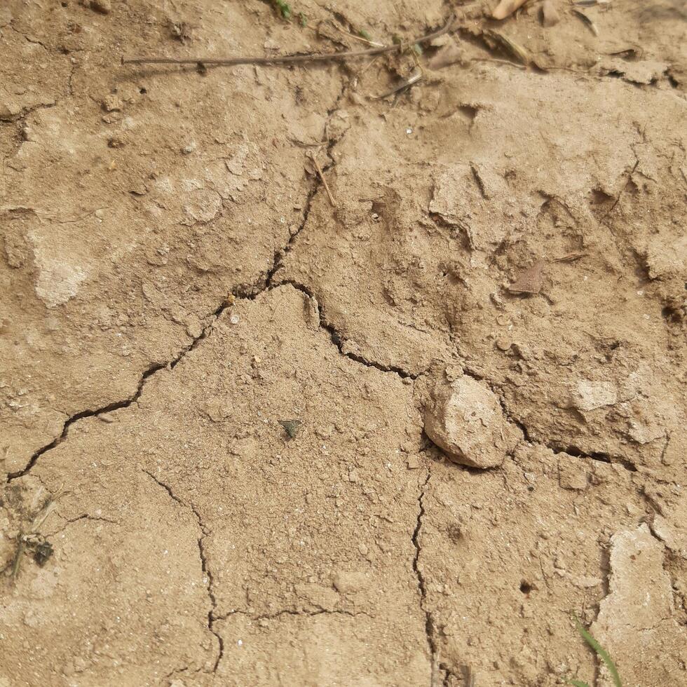 A Closeup of a Piece of Dry, Cracked Soil photo