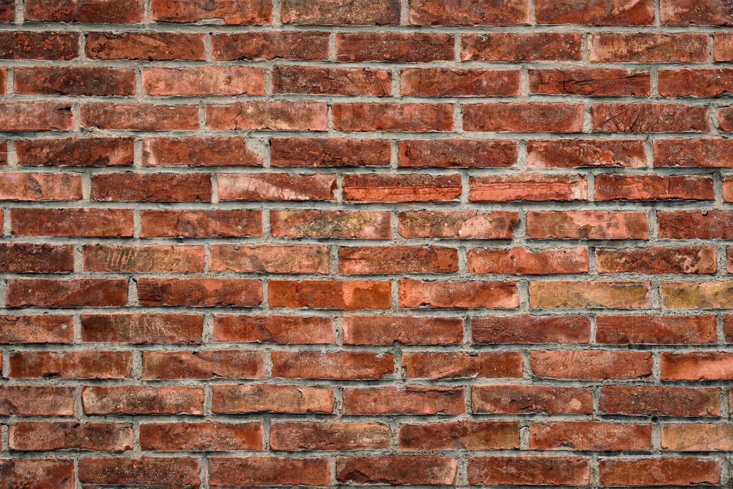 Brick wall texture background photo