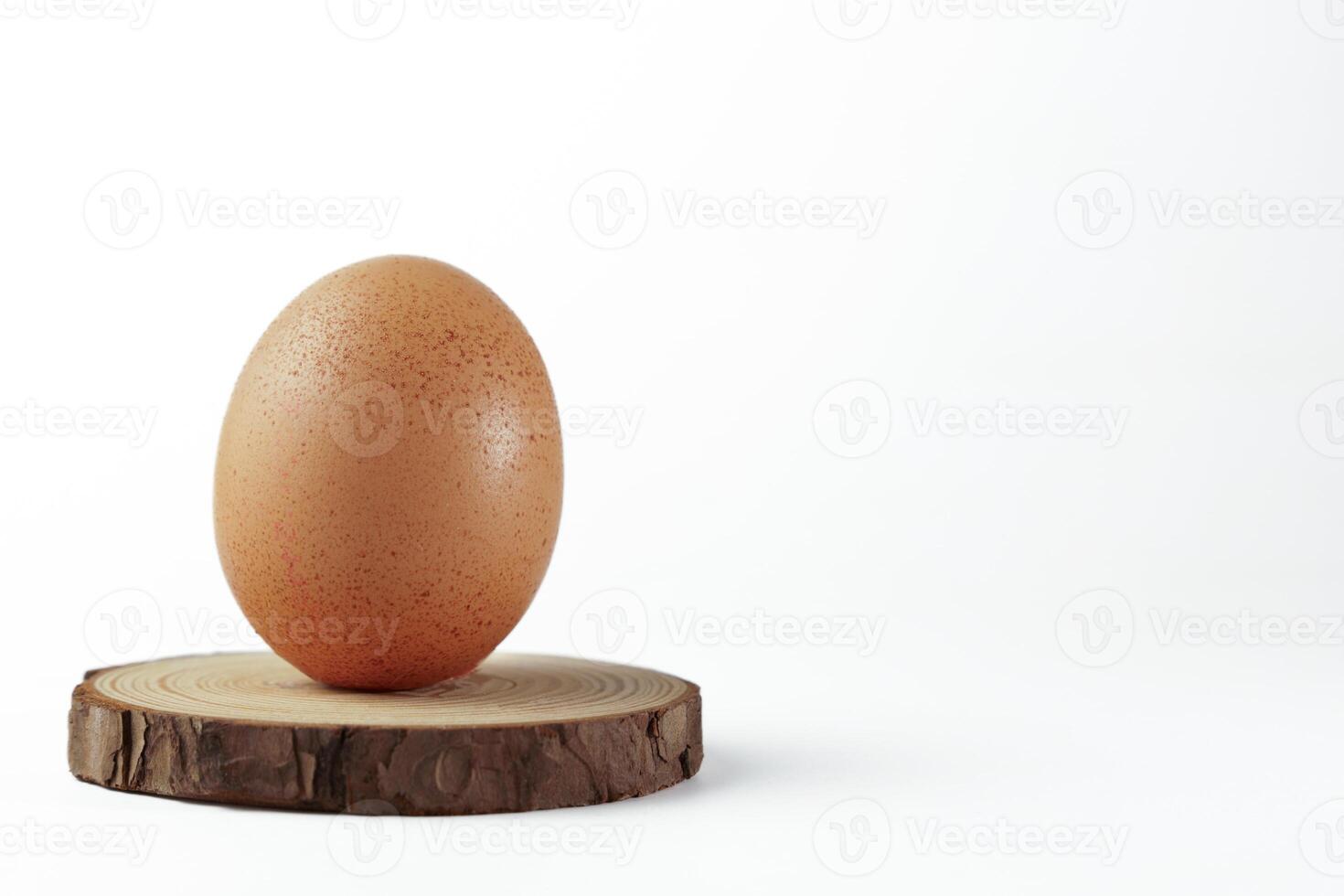 fresh chicken egg on a wooden disk photo