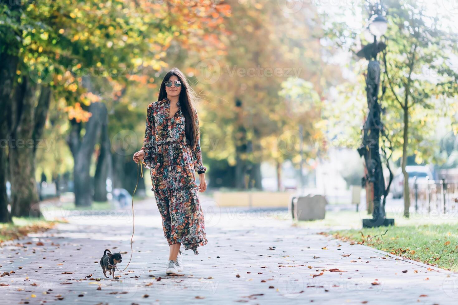 Young woman in sunglasses walking in autumn park with little puppy. Outdoor lifestyle portrait of pretty smiling female and her small dog. photo