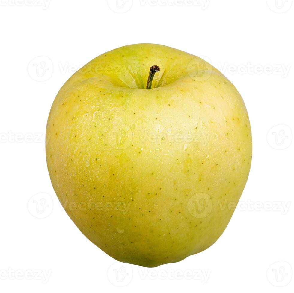 Yellow ripe apple with water drops isolated on white. photo