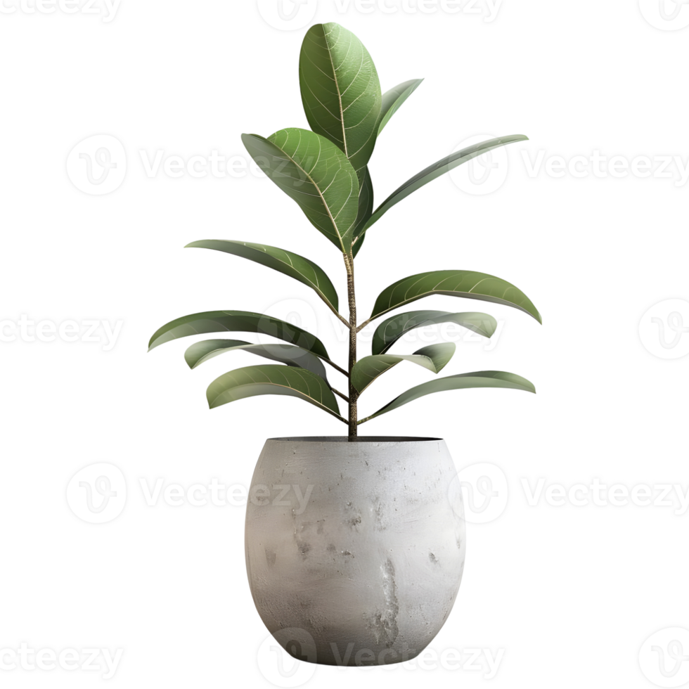 AI generated 3D Rendering of a Green Plant in a Pot on Transparent Background - Ai Generated png