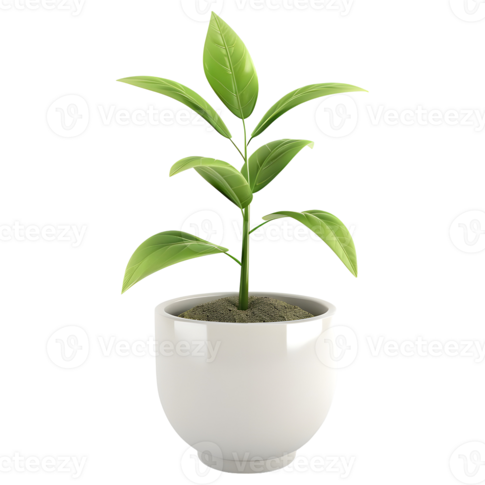 AI generated 3D Rendering of a Green Plant in a Pot on Transparent Background - Ai Generated png