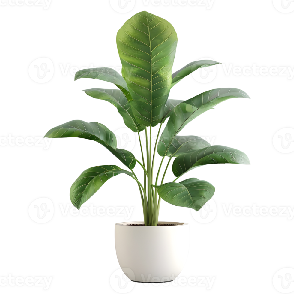AI generated 3D Rendering of a Green Plant in a Pot on Transparent Background - Ai Generated png