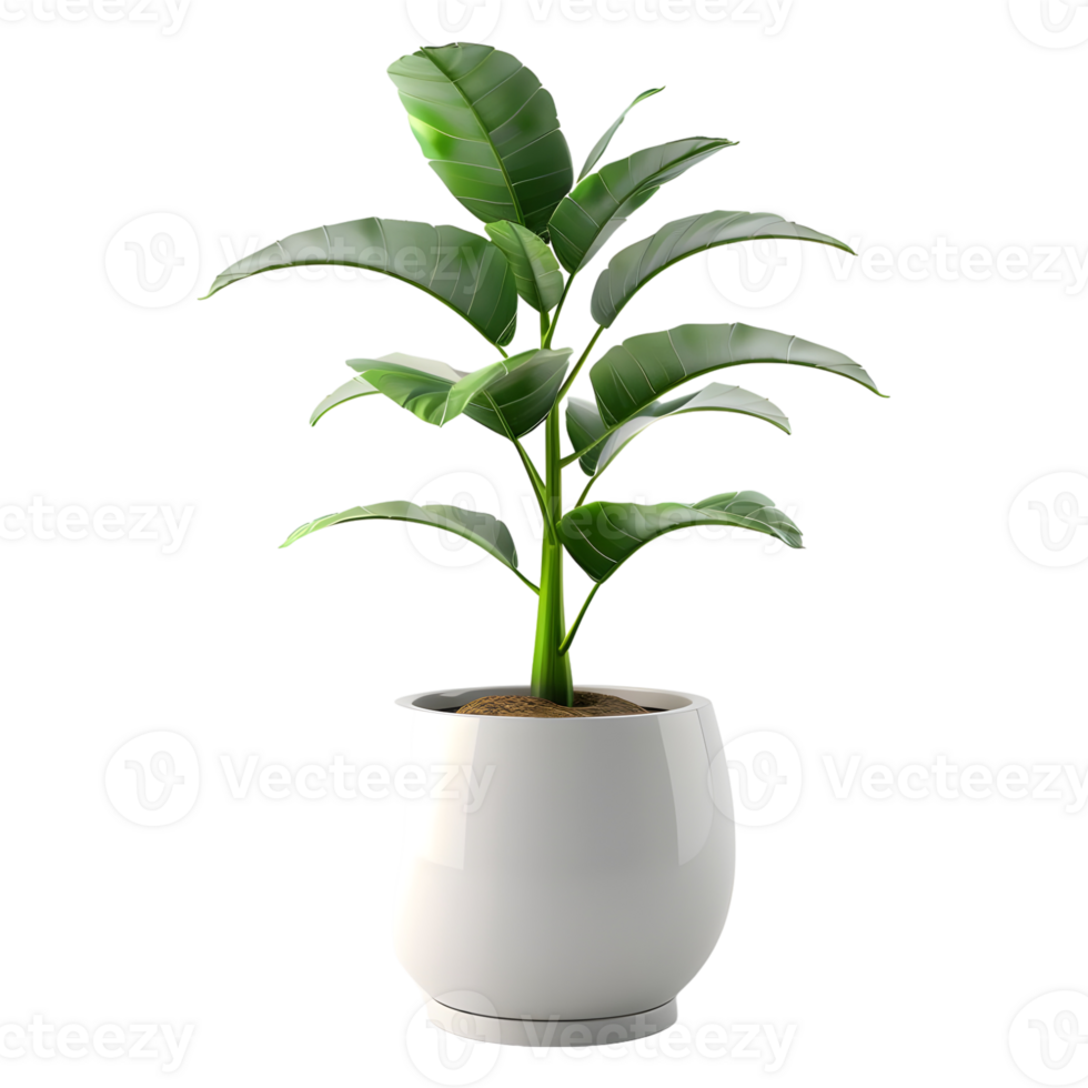 AI generated 3D Rendering of a Green Plant in a Pot on Transparent Background - Ai Generated png
