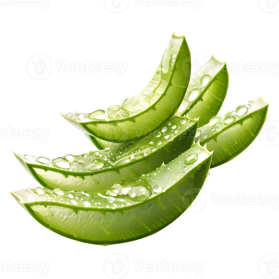 AI generated 3D Rendering of a Sliced Pieces of Aloe Vera on Transparent Background - Ai Generated png