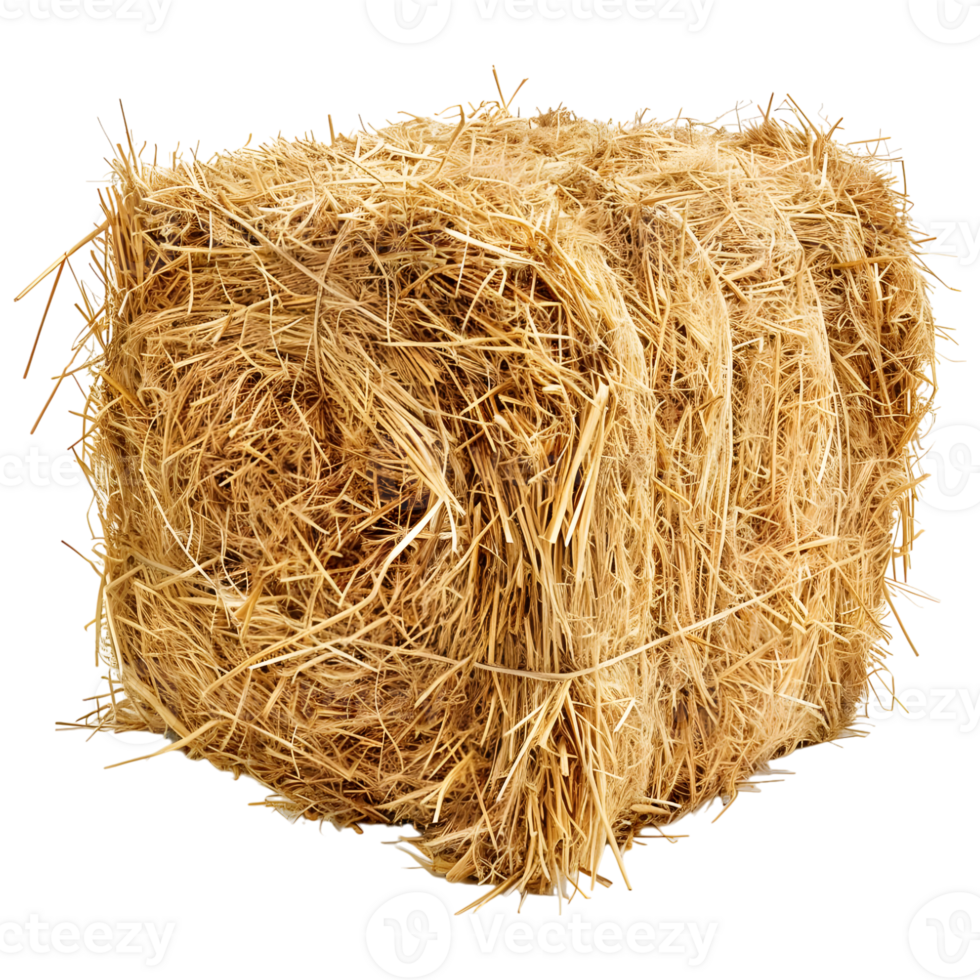 AI generated 3D Rendering of a Dry Hale Bale on Transparent Background - Ai Generated png