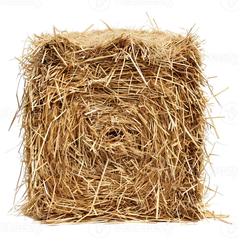 AI generated 3D Rendering of a Dry Hale Bale on Transparent Background - Ai Generated png