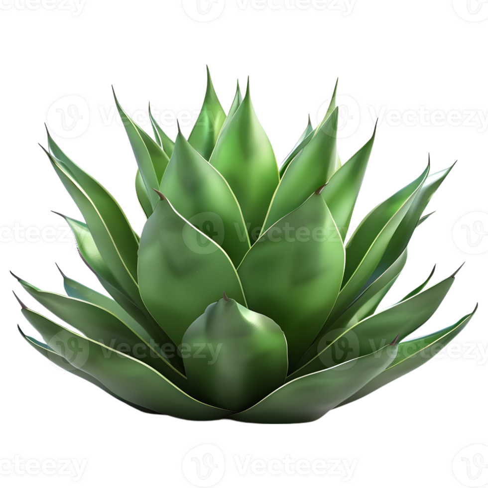 AI generated 3D Rendering of a Agave Montana on Transparent Background - Ai Generated png