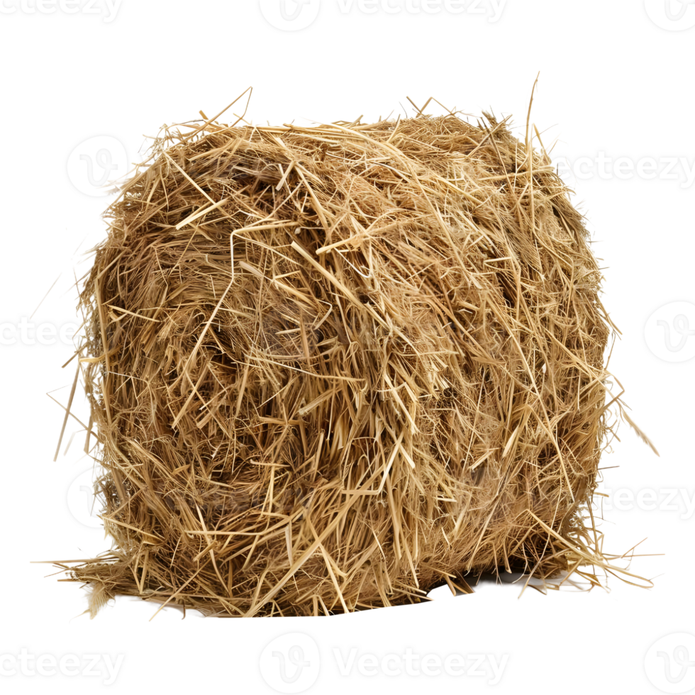 AI generated 3D Rendering of a Dry Hale Bale on Transparent Background - Ai Generated png