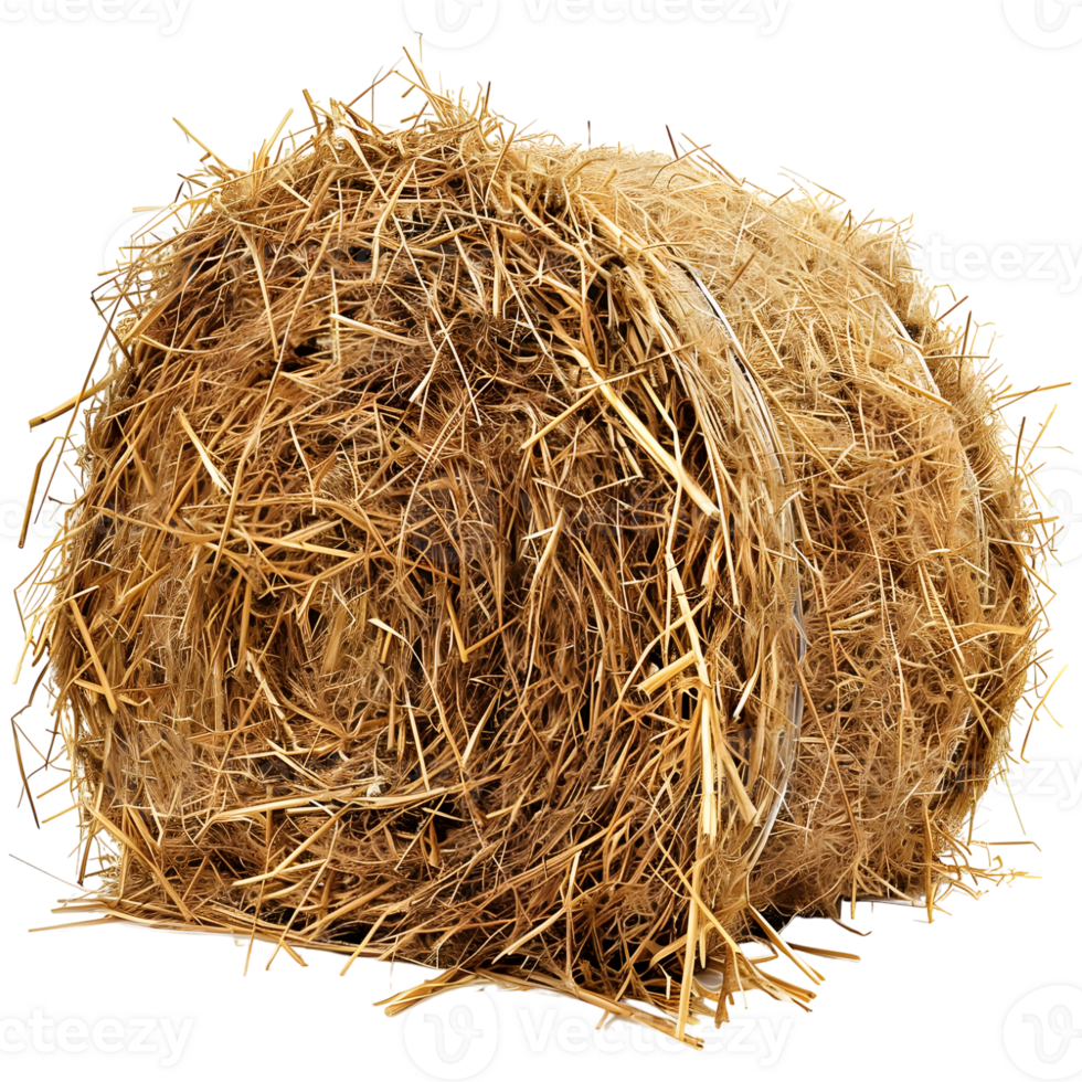 AI generated 3D Rendering of a Dry Hale Bale on Transparent Background - Ai Generated png