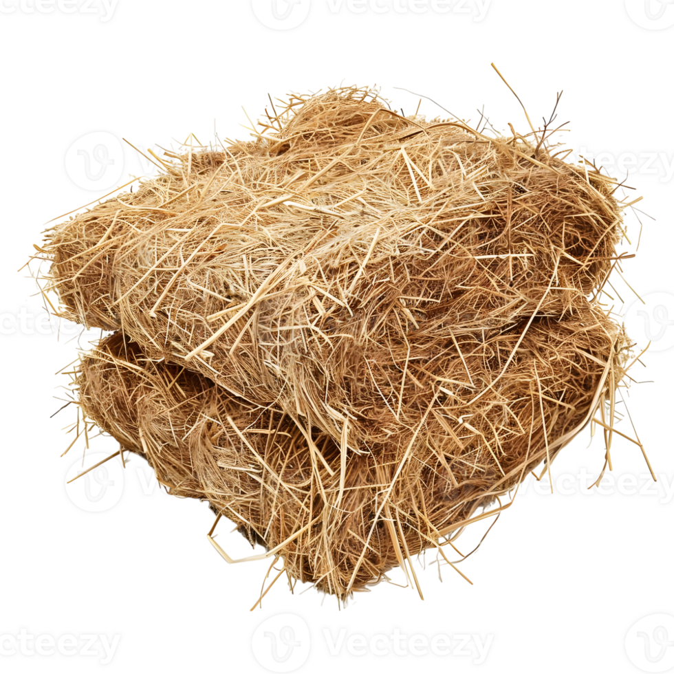 AI generated 3D Rendering of a Dry Hale Bale on Transparent Background - Ai Generated png