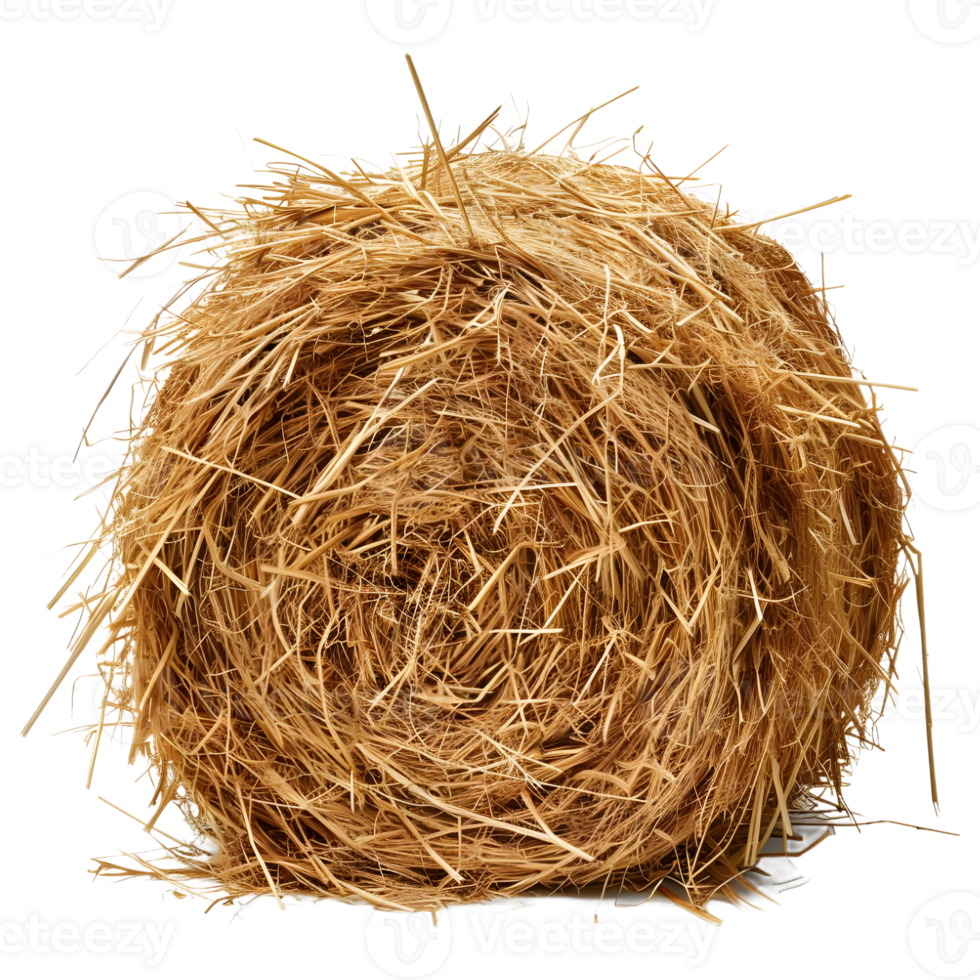 AI generated 3D Rendering of a Dry Hale Bale on Transparent Background - Ai Generated png