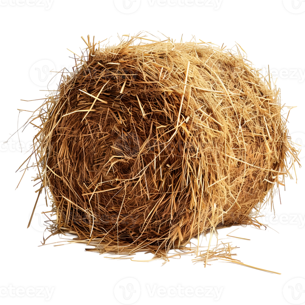 AI generated 3D Rendering of a Dry Hale Bale on Transparent Background - Ai Generated png
