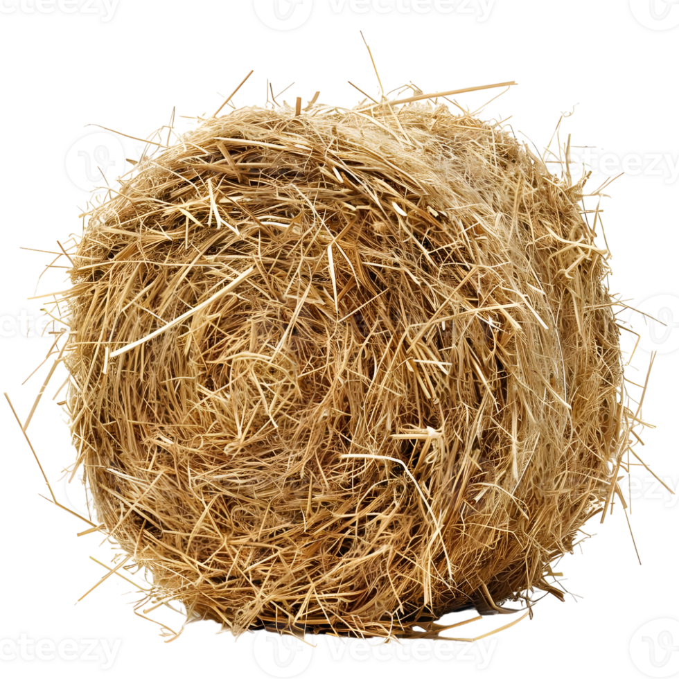 AI generated 3D Rendering of a Dry Hale Bale on Transparent Background - Ai Generated png