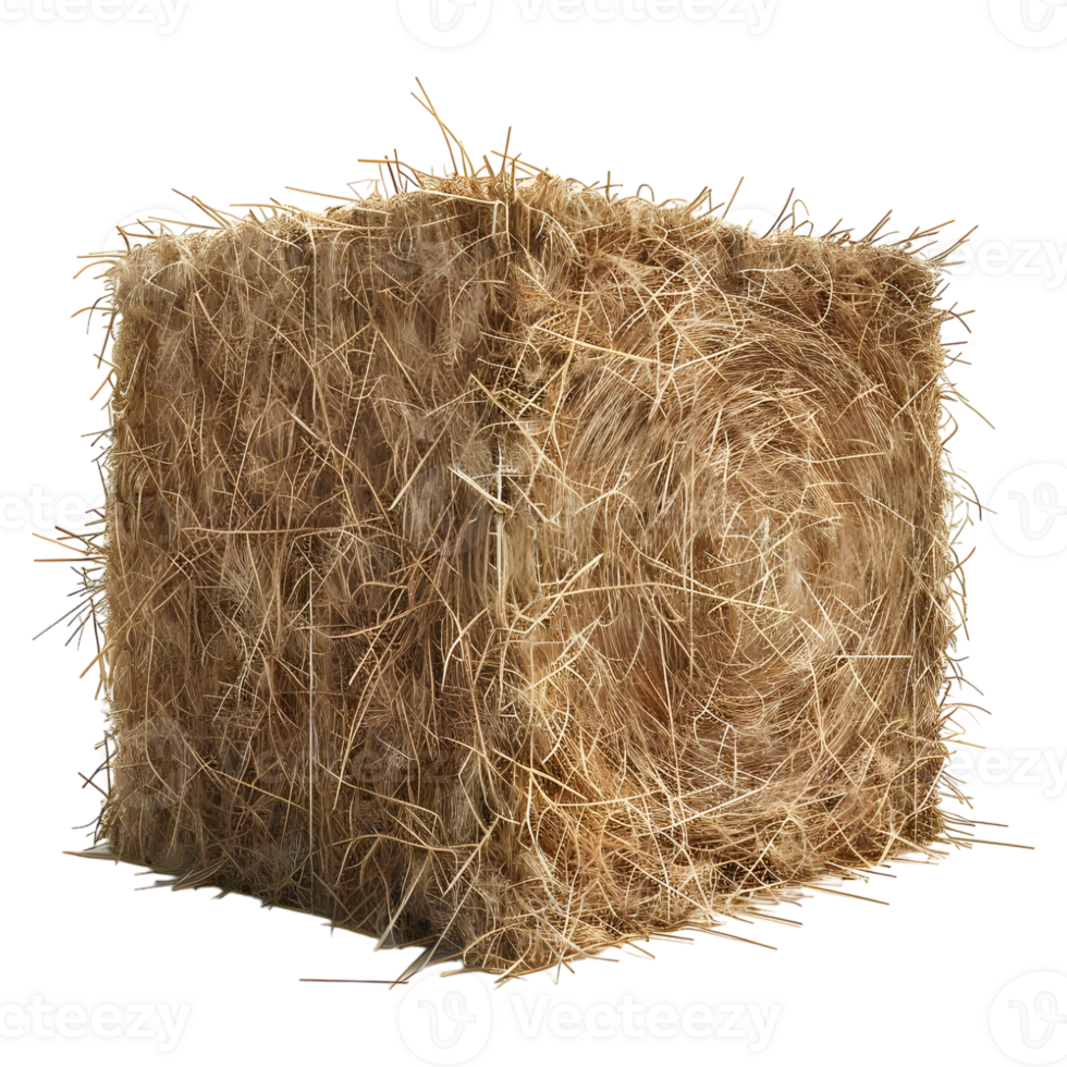 AI generated 3D Rendering of a Dry Hale Bale on Transparent Background - Ai Generated png